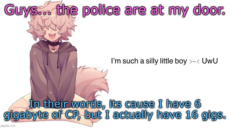 Silly_Neko announcement template | Guys... the police are at my door. In their words, its cause I have 6 gigabyte of CP, but I actually have 16 gigs. | image tagged in silly_neko announcement template | made w/ Imgflip meme maker
