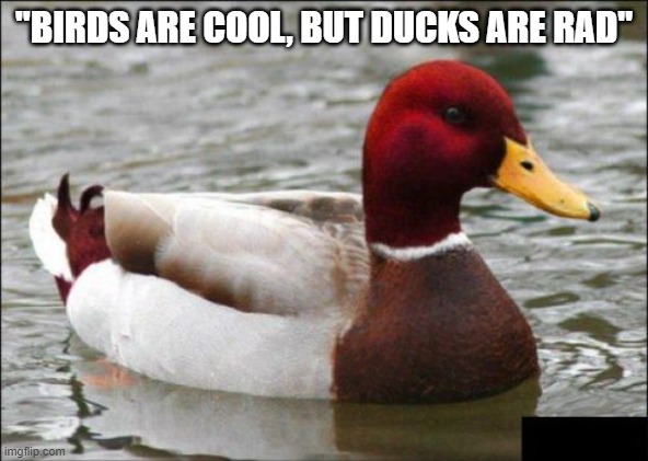 Rad duck | "BIRDS ARE COOL, BUT DUCKS ARE RAD" | image tagged in memes,malicious advice mallard | made w/ Imgflip meme maker