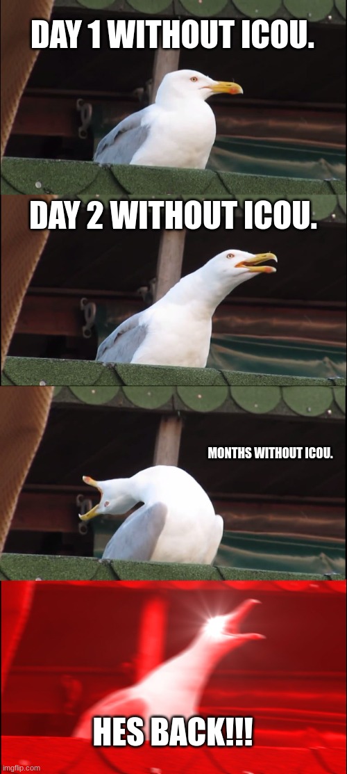 I'm back... >:) | DAY 1 WITHOUT ICOU. DAY 2 WITHOUT ICOU. MONTHS WITHOUT ICOU. HES BACK!!! | image tagged in memes,inhaling seagull | made w/ Imgflip meme maker