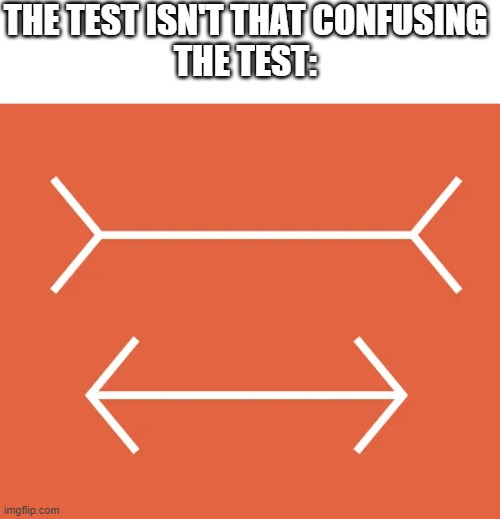 Which Line is Longer? | THE TEST ISN'T THAT CONFUSING
THE TEST: | image tagged in line,test | made w/ Imgflip meme maker