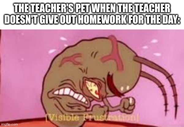 Visible Frustration | THE TEACHER'S PET WHEN THE TEACHER DOESN'T GIVE OUT HOMEWORK FOR THE DAY: | image tagged in visible frustration,memes | made w/ Imgflip meme maker