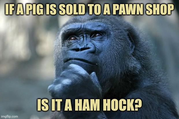 Deep Thoughts | IF A PIG IS SOLD TO A PAWN SHOP; IS IT A HAM HOCK? | image tagged in deep thoughts | made w/ Imgflip meme maker