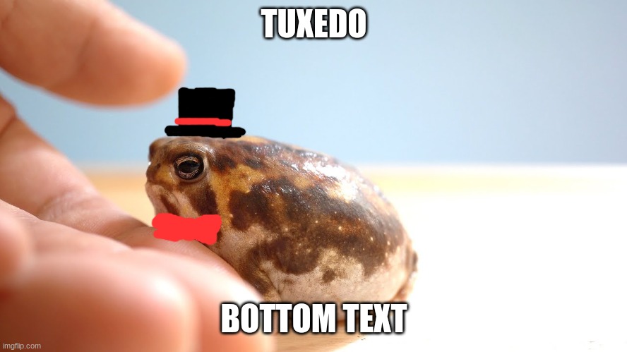 tuxedo | TUXEDO; BOTTOM TEXT | image tagged in tuxedo,fancy,frog | made w/ Imgflip meme maker