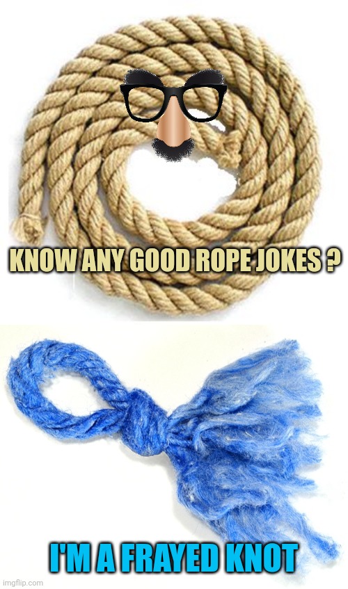 KNOW ANY GOOD ROPE JOKES ? I'M A FRAYED KNOT | image tagged in rope,frayed knot | made w/ Imgflip meme maker