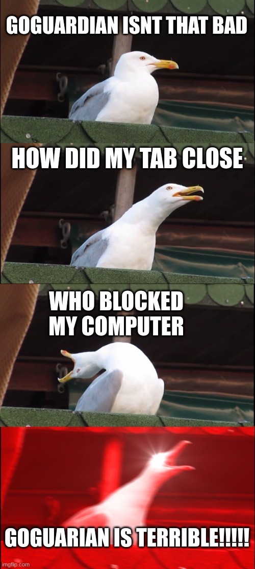 Inhaling Seagull | GOGUARDIAN ISNT THAT BAD; HOW DID MY TAB CLOSE; WHO BLOCKED MY COMPUTER; GOGUARIAN IS TERRIBLE!!!!! | image tagged in memes,inhaling seagull | made w/ Imgflip meme maker