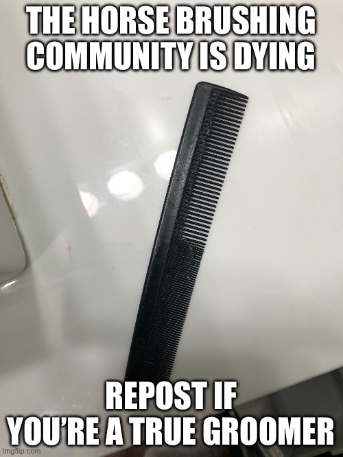 Hair comb | THE HORSE BRUSHING COMMUNITY IS DYING; REPOST IF YOU’RE A TRUE GROOMER | image tagged in hair comb | made w/ Imgflip meme maker