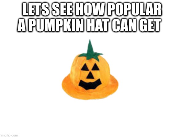 LETS SEE HOW POPULAR A PUMPKIN HAT CAN GET | image tagged in funny | made w/ Imgflip meme maker