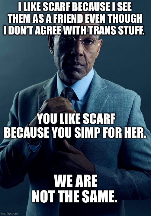 Gus Fring we are not the same | I LIKE SCARF BECAUSE I SEE THEM AS A FRIEND EVEN THOUGH I DON’T AGREE WITH TRANS STUFF. YOU LIKE SCARF BECAUSE YOU SIMP FOR HER. WE ARE NOT THE SAME. | image tagged in gus fring we are not the same | made w/ Imgflip meme maker