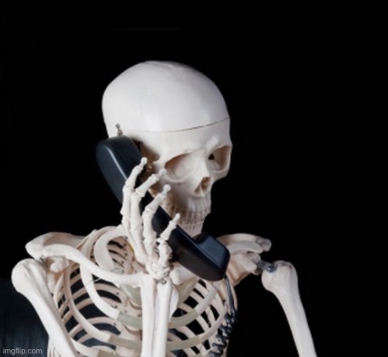 Skeleton on phone | image tagged in skeleton on phone | made w/ Imgflip meme maker