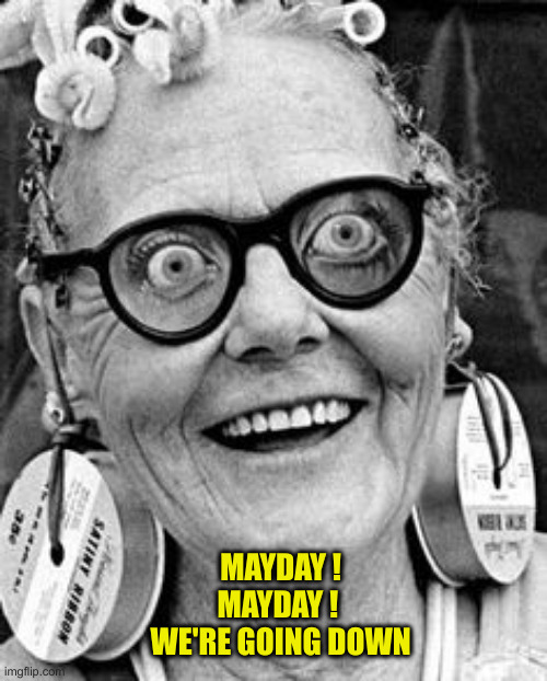 May Day! May Day ! | MAYDAY !
MAYDAY ! 
WE'RE GOING DOWN | image tagged in may day may day | made w/ Imgflip meme maker