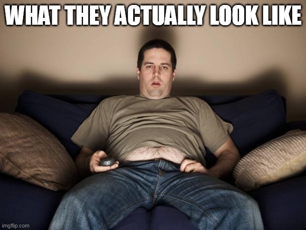 lazy fat guy on the couch | WHAT THEY ACTUALLY LOOK LIKE | image tagged in lazy fat guy on the couch | made w/ Imgflip meme maker