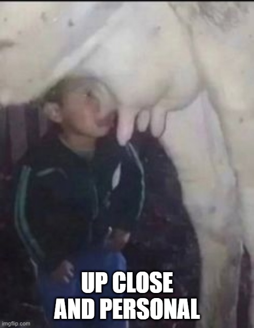 Utterly Weird | UP CLOSE AND PERSONAL | image tagged in cursed image | made w/ Imgflip meme maker