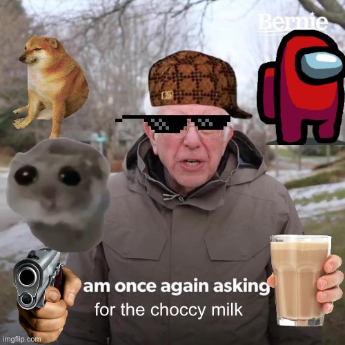funny am i right or am i right | for the choccy milk | image tagged in memes,bernie i am once again asking for your support | made w/ Imgflip meme maker