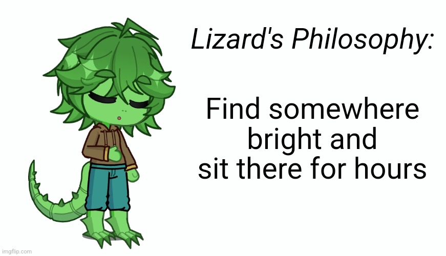 Lizard's Philosophy:; Find somewhere bright and sit there for hours | made w/ Imgflip meme maker
