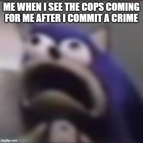 i might be too attached to this meme template, also i dont commit crimes just saying | ME WHEN I SEE THE COPS COMING FOR ME AFTER I COMMIT A CRIME | image tagged in distress,memes,police | made w/ Imgflip meme maker