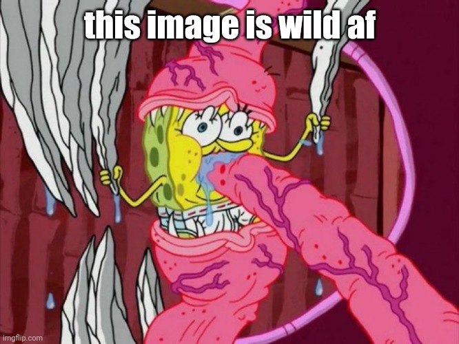 this image is wild af | made w/ Imgflip meme maker