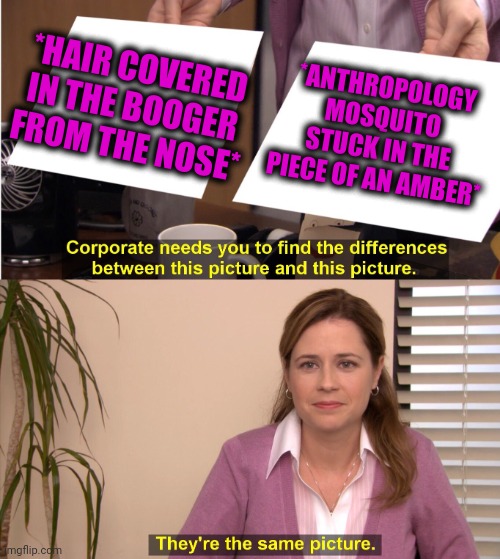 -Researches in the nose are continued. | *HAIR COVERED IN THE BOOGER FROM THE NOSE*; *ANTHROPOLOGY MOSQUITO STUCK IN THE PIECE OF AN AMBER* | image tagged in memes,they're the same picture,mosquito attack,booger,homestuck,anthropologie | made w/ Imgflip meme maker