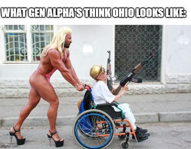Ohio is totally fine irl | WHAT GEN ALPHA'S THINK OHIO LOOKS LIKE: | image tagged in weird wheelchair,dank memes,ohio,gen alpha | made w/ Imgflip meme maker