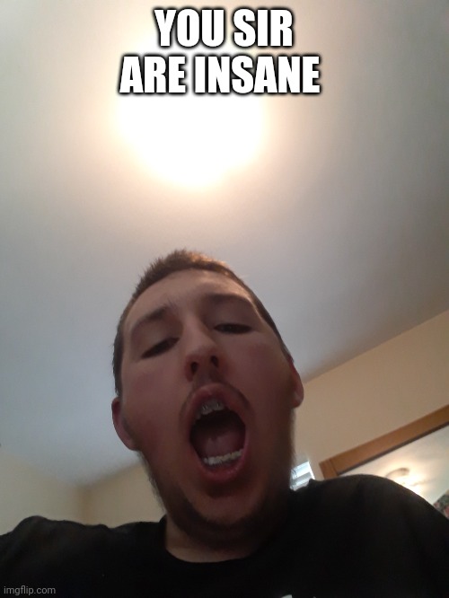 YOU SIR ARE INSANE | made w/ Imgflip meme maker