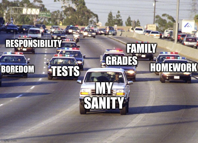 my life | RESPONSIBILITY; FAMILY; GRADES; BOREDOM; TESTS; HOMEWORK; MY SANITY | image tagged in police chase | made w/ Imgflip meme maker