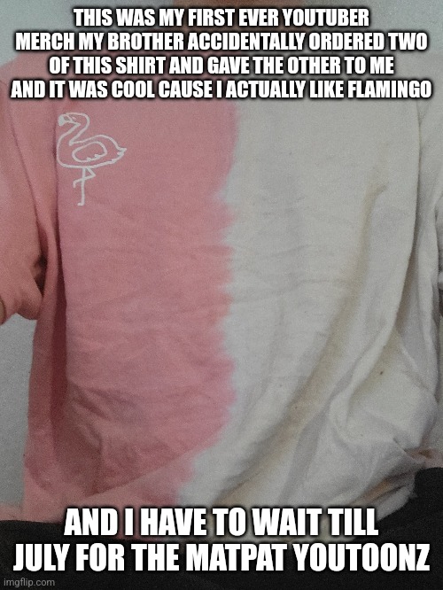 THIS WAS MY FIRST EVER YOUTUBER MERCH MY BROTHER ACCIDENTALLY ORDERED TWO OF THIS SHIRT AND GAVE THE OTHER TO ME AND IT WAS COOL CAUSE I ACTUALLY LIKE FLAMINGO; AND I HAVE TO WAIT TILL JULY FOR THE MATPAT YOUTOONZ | made w/ Imgflip meme maker