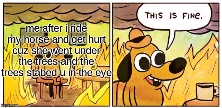 This Is Fine | me after i ride my horse and get hurt cuz she went under the trees and the trees stabed u in the eye | image tagged in memes,this is fine | made w/ Imgflip meme maker