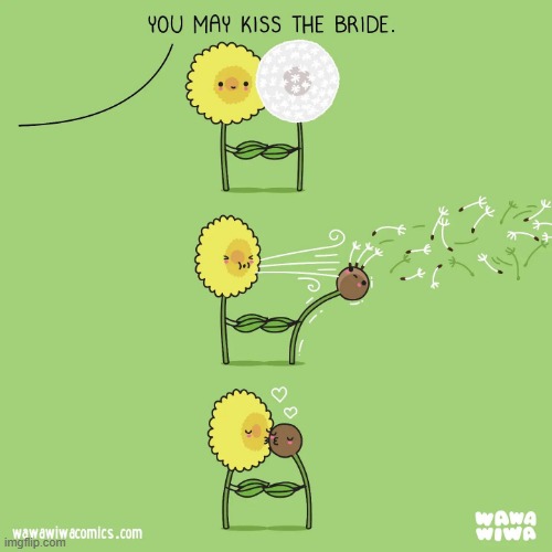 image tagged in dandelions,wedding,bride,kiss | made w/ Imgflip meme maker
