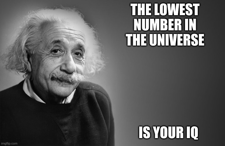 albert einstein quotes | THE LOWEST NUMBER IN THE UNIVERSE; IS YOUR IQ | image tagged in albert einstein quotes | made w/ Imgflip meme maker