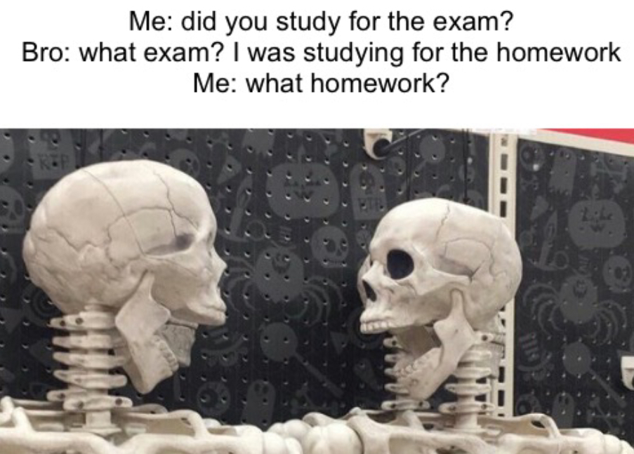 Exam skeletons meme Blank Meme Template