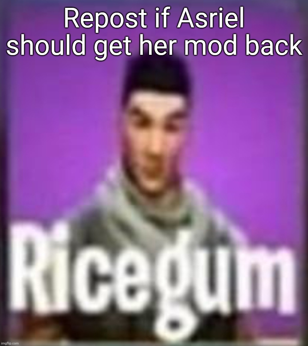 Accidentally misgendered her in the last one | Repost if Asriel should get her mod back | image tagged in ricegum | made w/ Imgflip meme maker