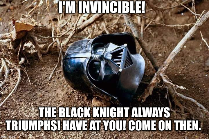 None shall pass. | I'M INVINCIBLE! THE BLACK KNIGHT ALWAYS TRIUMPHS! HAVE AT YOU! COME ON THEN. | image tagged in monty python black knight,darth vader,cave | made w/ Imgflip meme maker