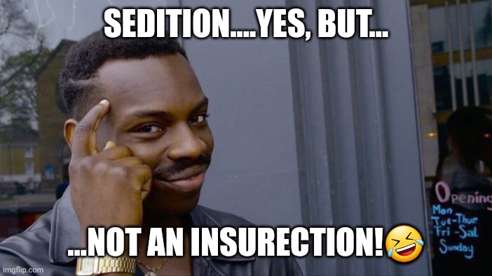 Roll Safe Think About It Meme | SEDITION....YES, BUT... ...NOT AN INSURECTION!? | image tagged in memes,roll safe think about it | made w/ Imgflip meme maker