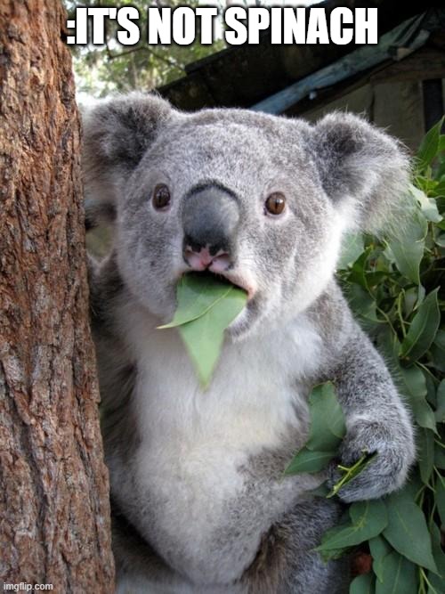Surprised Koala | :IT'S NOT SPINACH | image tagged in memes,surprised koala | made w/ Imgflip meme maker