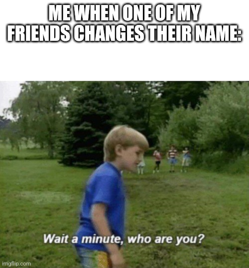 Wait a minute, who are you? | ME WHEN ONE OF MY FRIENDS CHANGES THEIR NAME: | image tagged in wait a minute who are you | made w/ Imgflip meme maker