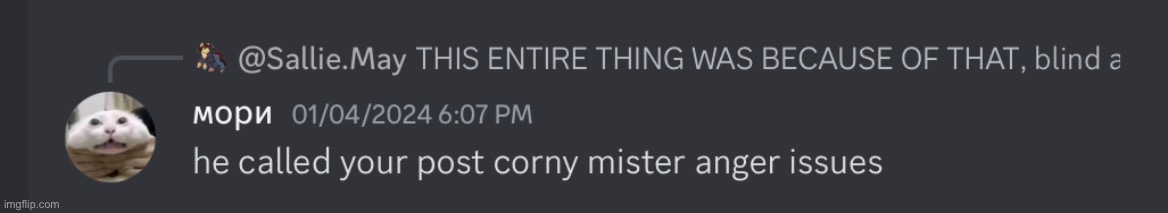 Corny sallie | made w/ Imgflip meme maker