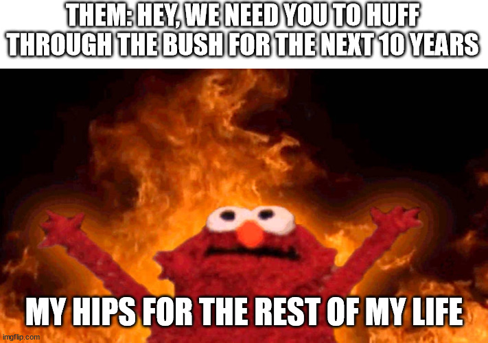 elmo fire | THEM: HEY, WE NEED YOU TO HUFF THROUGH THE BUSH FOR THE NEXT 10 YEARS; MY HIPS FOR THE REST OF MY LIFE | image tagged in elmo fire | made w/ Imgflip meme maker