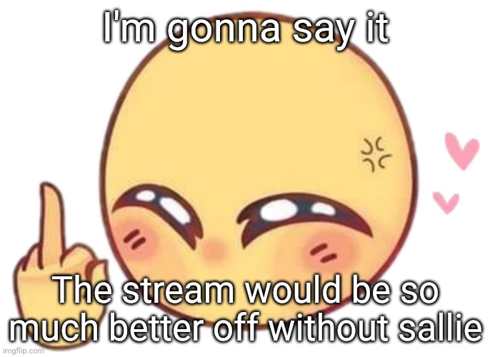 You can't change my mind | I'm gonna say it; The stream would be so much better off without sallie | made w/ Imgflip meme maker