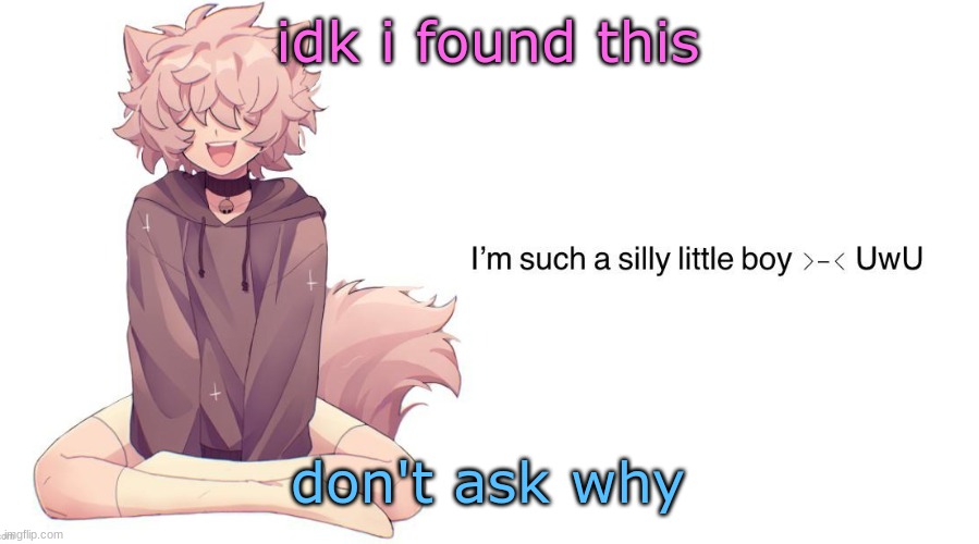 Silly_Neko announcement template | idk i found this; don't ask why | image tagged in silly_neko announcement template | made w/ Imgflip meme maker