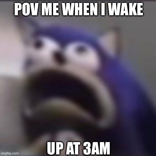 distress | POV ME WHEN I WAKE; UP AT 3AM | image tagged in distress | made w/ Imgflip meme maker