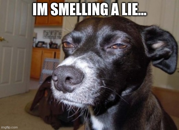 Suspicious dog | IM SMELLING A LIE... | image tagged in suspicious dog | made w/ Imgflip meme maker