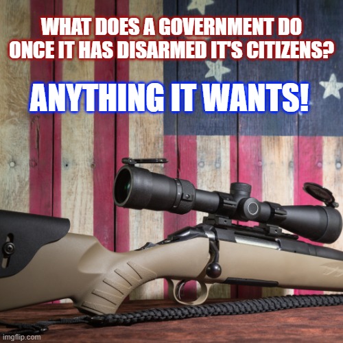 Patriotic | WHAT DOES A GOVERNMENT DO ONCE IT HAS DISARMED IT'S CITIZENS? ANYTHING IT WANTS! | image tagged in guns,2nd amendment | made w/ Imgflip meme maker