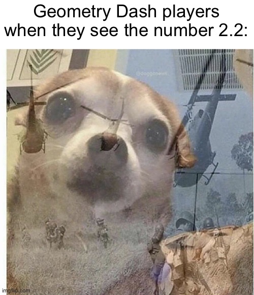 We had to wait 7 years for it | Geometry Dash players when they see the number 2.2: | image tagged in ptsd chihuahua,gd,geometry dash | made w/ Imgflip meme maker