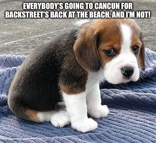 Broken and lonely | EVERYBODY’S GOING TO CANCUN FOR BACKSTREET’S BACK AT THE BEACH, AND I’M NOT! | image tagged in sad puppy | made w/ Imgflip meme maker