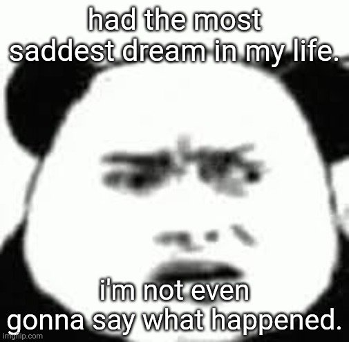 Confused chinese bear | had the most saddest dream in my life. i'm not even gonna say what happened. | image tagged in confused chinese bear | made w/ Imgflip meme maker
