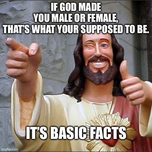 Buddy Christ Meme | IF GOD MADE YOU MALE OR FEMALE, THAT’S WHAT YOUR SUPPOSED TO BE. IT’S BASIC FACTS | image tagged in memes,buddy christ | made w/ Imgflip meme maker