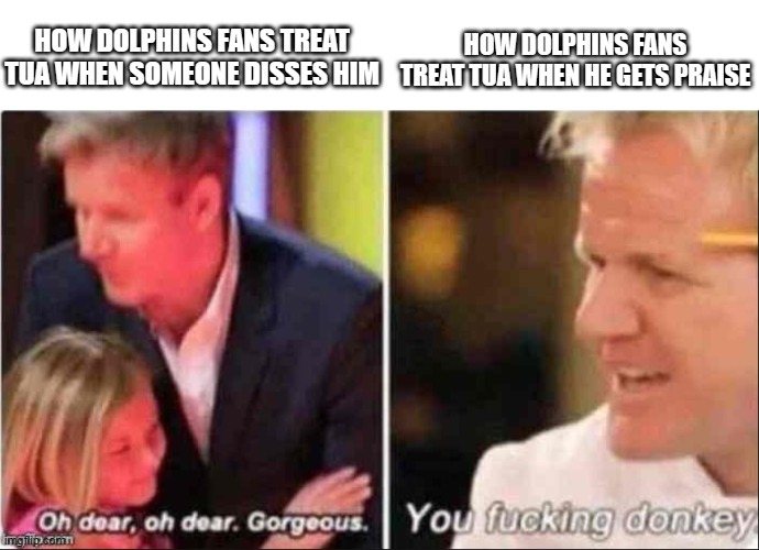 Oh Dear Oh Dear Gorgeous | HOW DOLPHINS FANS TREAT TUA WHEN HE GETS PRAISE; HOW DOLPHINS FANS TREAT TUA WHEN SOMEONE DISSES HIM | image tagged in oh dear oh dear gorgeous | made w/ Imgflip meme maker