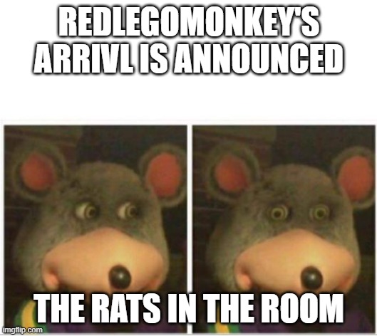 chuck e cheese rat stare | REDLEGOMONKEY'S ARRIVL IS ANNOUNCED THE RATS IN THE ROOM | image tagged in chuck e cheese rat stare | made w/ Imgflip meme maker