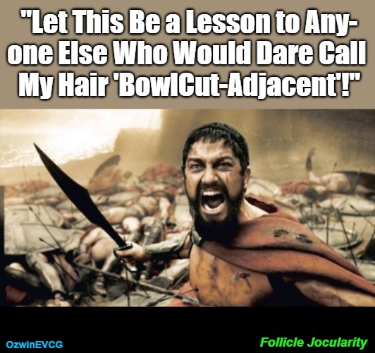 Follicle Jocularity | "Let This Be a Lesson to Any-

one Else Who Would Dare Call 

My Hair 'BowlCut-Adjacent'!"; Follicle Jocularity; OzwinEVCG | image tagged in sparta leonidas,hair,im warning you,personal grooming,temper,that was awkward | made w/ Imgflip meme maker