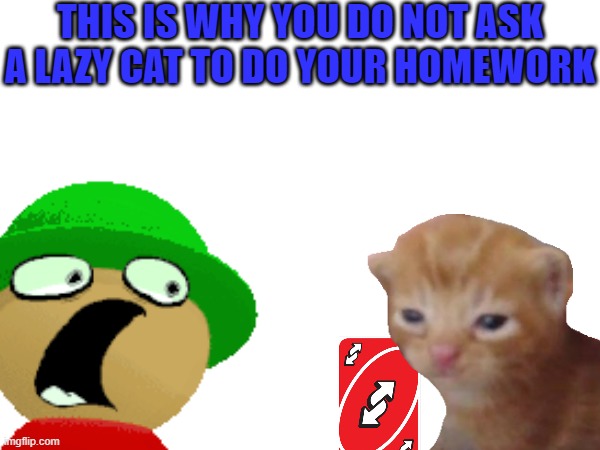 Do not ask a lazy cat to do your homework | THIS IS WHY YOU DO NOT ASK A LAZY CAT TO DO YOUR HOMEWORK | image tagged in cat,rip,lol,lazy,bruh,take that | made w/ Imgflip meme maker