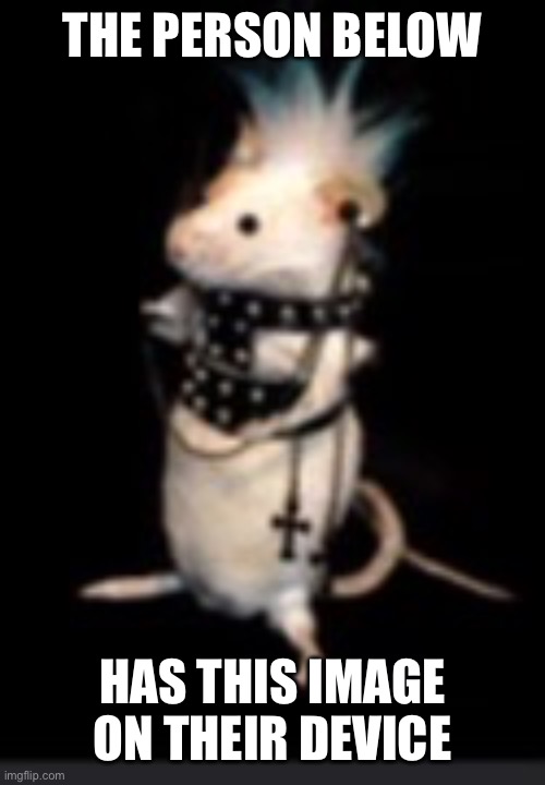 THE PERSON BELOW; HAS THIS IMAGE ON THEIR DEVICE | image tagged in emo rat | made w/ Imgflip meme maker
